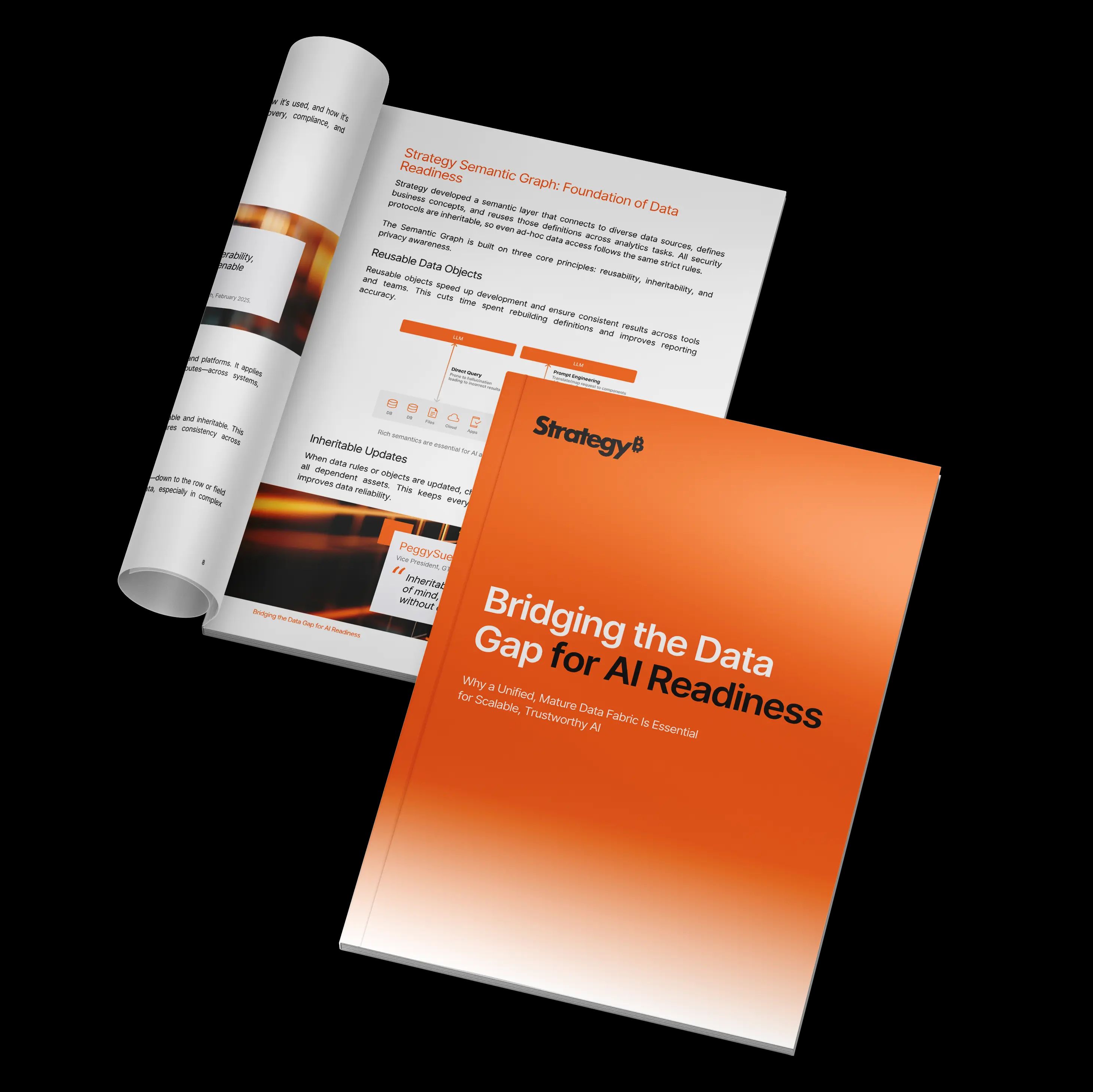 Bridging Data Gap Cover.png