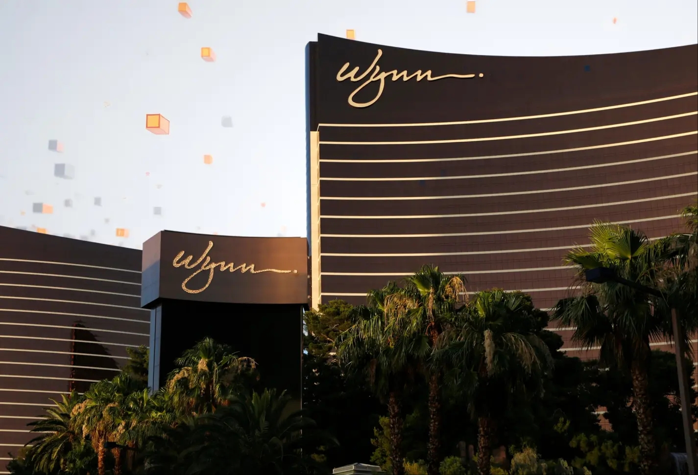 Wynn.webp